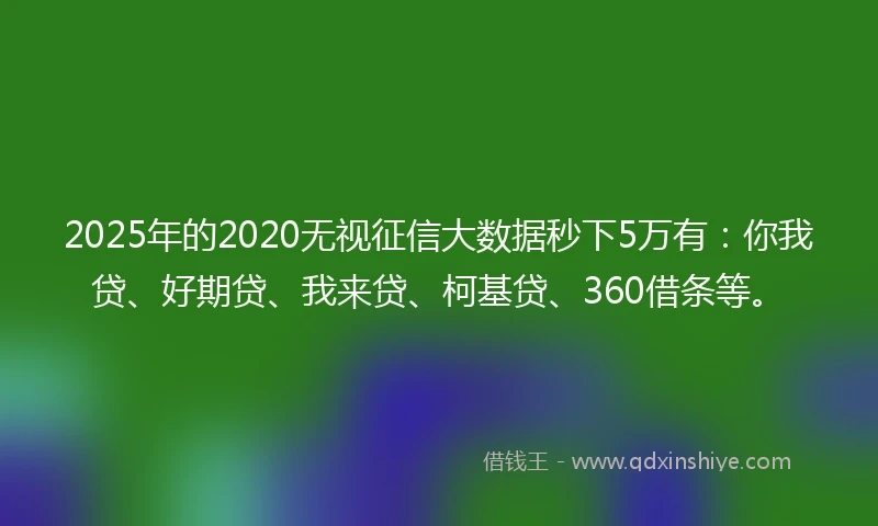 2025年的2020无视征信大数据秒下5万有：你我贷、好期贷、我来贷、柯基贷、360借条等。