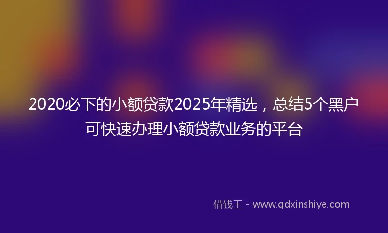 2020必下的小额贷款2025年精选，总结5个黑户可快速办理小额贷款业务的平台