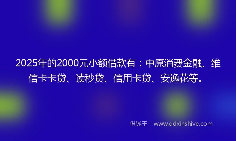 2025年的2000元小额借款有：中原消费金融、维信卡卡贷、读秒贷、信用卡贷、安逸花等。