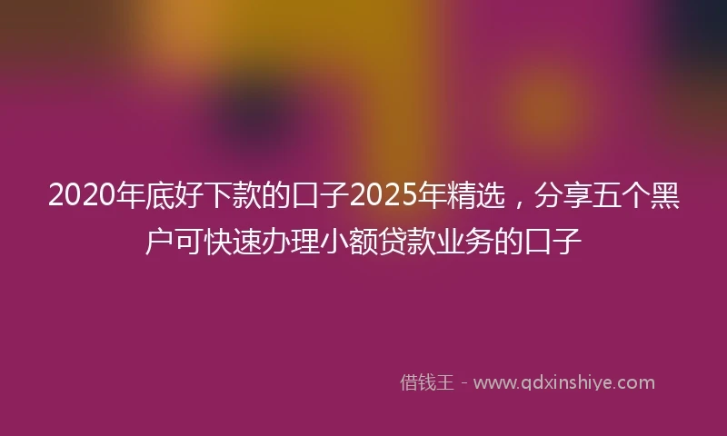 2020年底好下款的口子2025年精选，分享五个黑户可快速办理小额贷款业务的口子