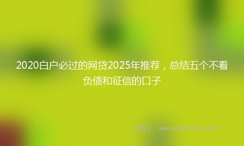 2020白户必过的网贷2025年推荐，总结五个不看负债和征信的口子