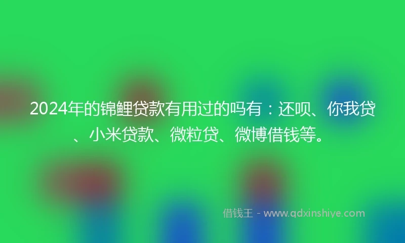 2024年的锦鲤贷款有用过的吗有：还呗、你我贷、小米贷款、微粒贷、微博借钱等。