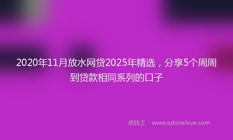 2020年11月放水网贷2025年精选，分享5个周周到贷款相同系列的口子