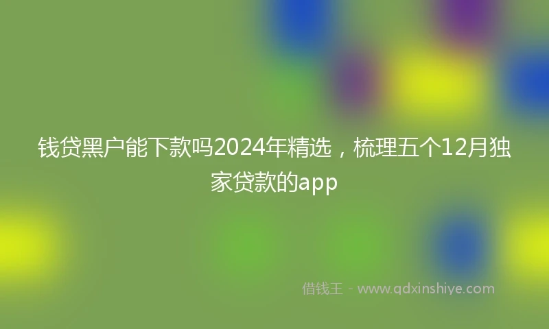 钱贷黑户能下款吗2024年精选，梳理五个12月独家贷款的app