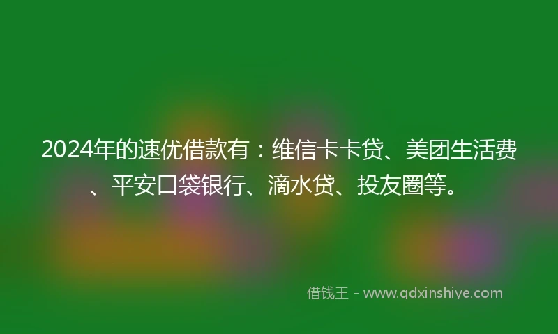 2024年的速优借款有：维信卡卡贷、美团生活费、平安口袋银行、滴水贷、投友圈等。
