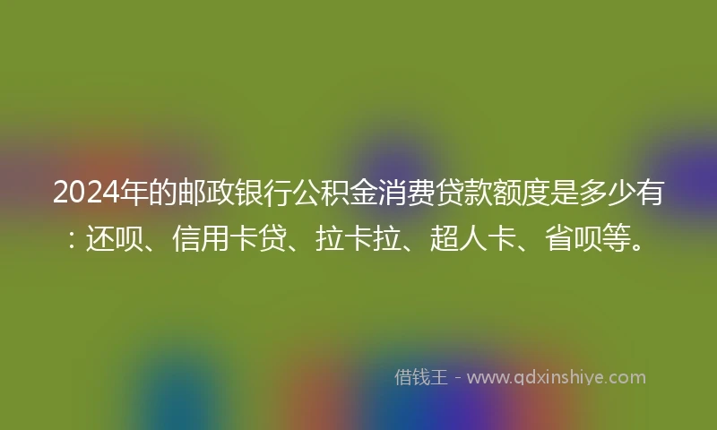 2024年的邮政银行公积金消费贷款额度是多少有：还呗、信用卡贷、拉卡拉、超人卡、省呗等。
