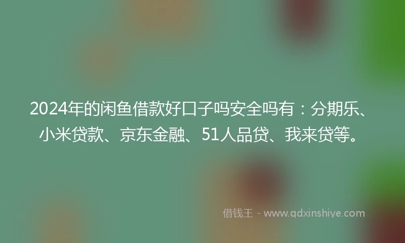 2024年的闲鱼借款好口子吗安全吗有：分期乐、小米贷款、京东金融、51人品贷、我来贷等。