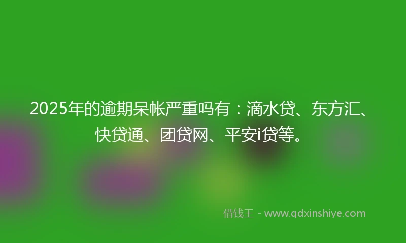 2025年的逾期呆帐严重吗有：滴水贷、东方汇、快贷通、团贷网、平安i贷等。