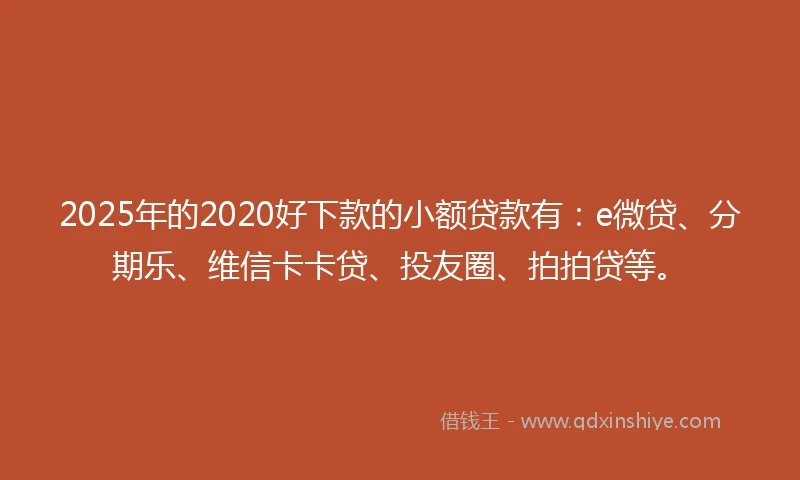 2025年的2020好下款的小额贷款有：e微贷、分期乐、维信卡卡贷、投友圈、拍拍贷等。