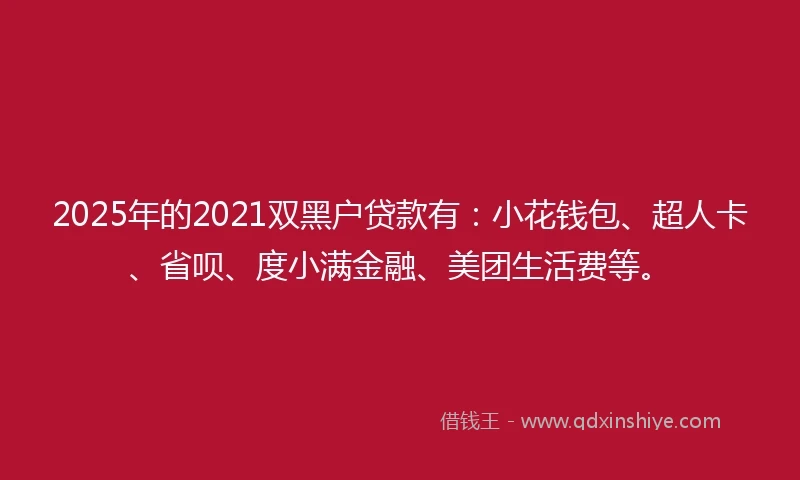 2025年的2021双黑户贷款有：小花钱包、超人卡、省呗、度小满金融、美团生活费等。