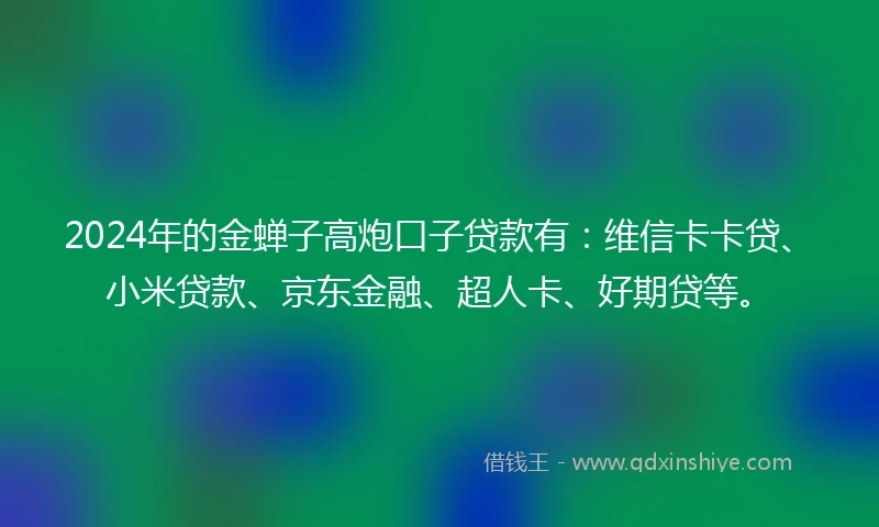 2024年的金蝉子高炮口子贷款有：维信卡卡贷、小米贷款、京东金融、超人卡、好期贷等。