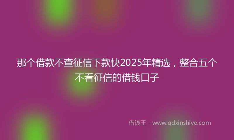 那个借款不查征信下款快2025年精选，整合五个不看征信的借钱口子