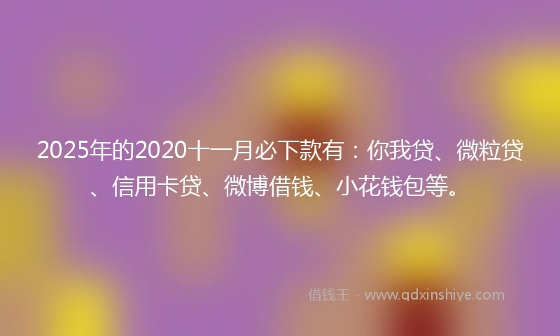 2025年的2020十一月必下款有：你我贷、微粒贷、信用卡贷、微博借钱、小花钱包等。