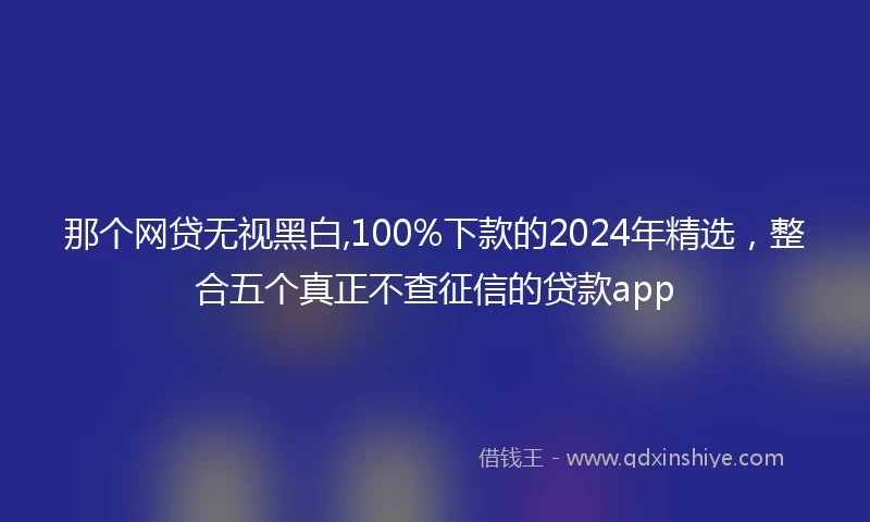 那个网贷无视黑白,100%下款的2024年精选，整合五个真正不查征信的贷款app