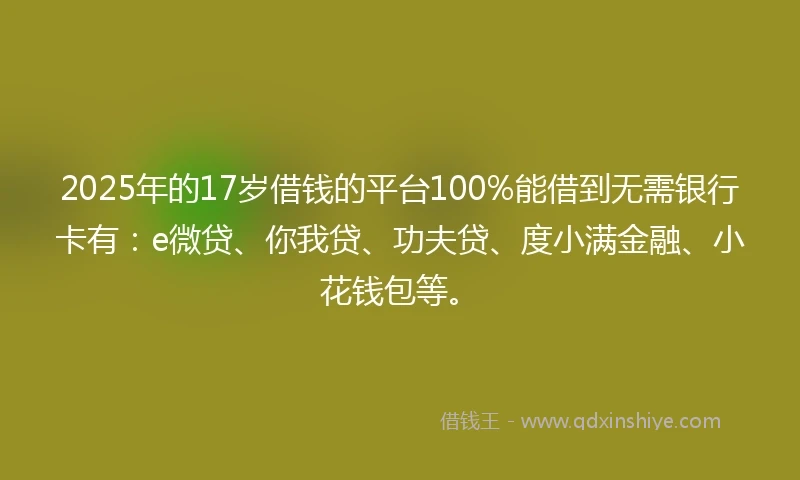 2025年的17岁借钱的平台100%能借到无需银行卡有：e微贷、你我贷、功夫贷、度小满金融、小花钱包等。