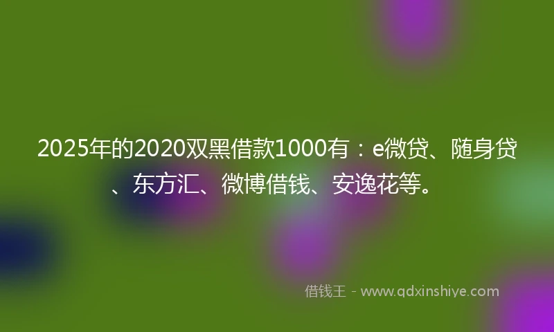 2025年的2020双黑借款1000有：e微贷、随身贷、东方汇、微博借钱、安逸花等。
