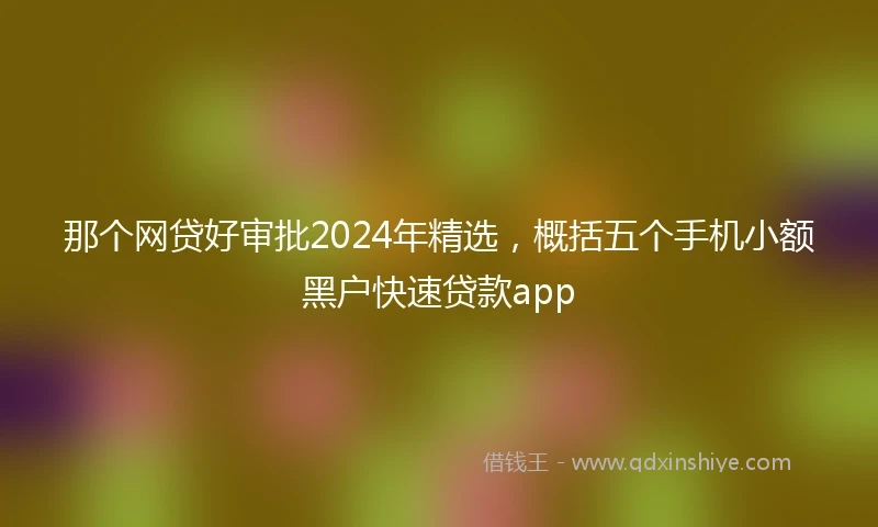 那个网贷好审批2024年精选，概括五个手机小额黑户快速贷款app