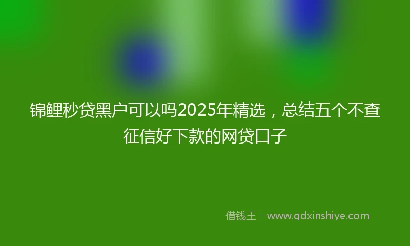 锦鲤秒贷黑户可以吗2025年精选，总结五个不查征信好下款的网贷口子