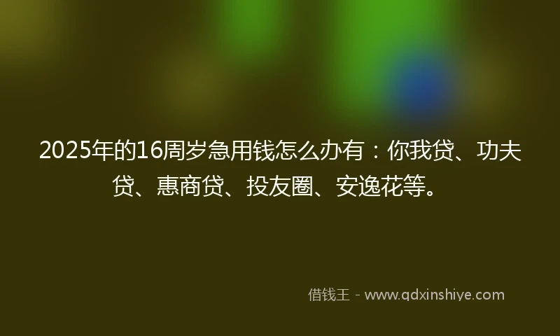 2025年的16周岁急用钱怎么办有：你我贷、功夫贷、惠商贷、投友圈、安逸花等。