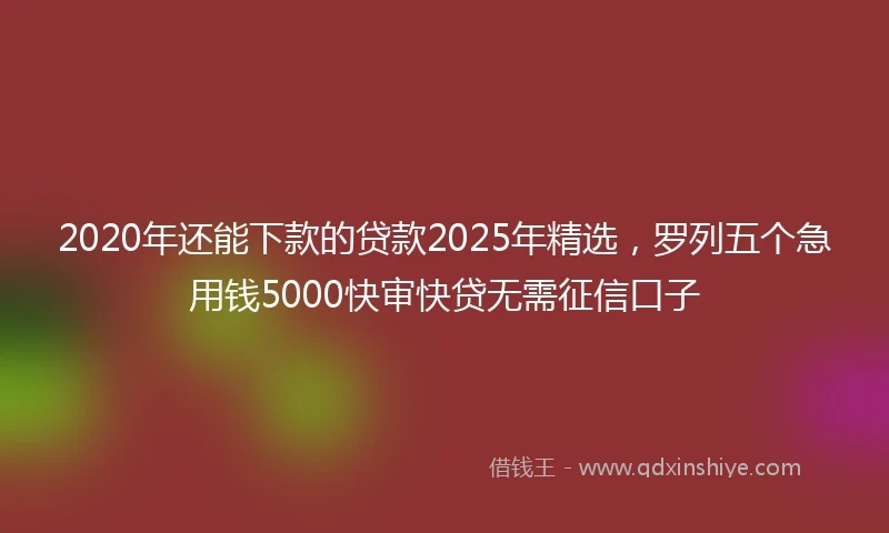 2020年还能下款的贷款2025年精选，罗列五个急用钱5000快审快贷无需征信口子