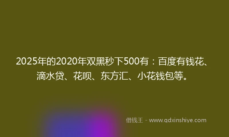 2025年的2020年双黑秒下500有：百度有钱花、滴水贷、花呗、东方汇、小花钱包等。