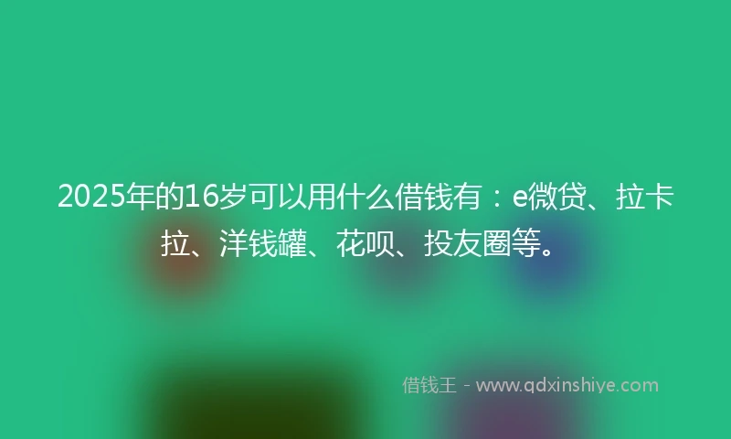 2025年的16岁可以用什么借钱有：e微贷、拉卡拉、洋钱罐、花呗、投友圈等。