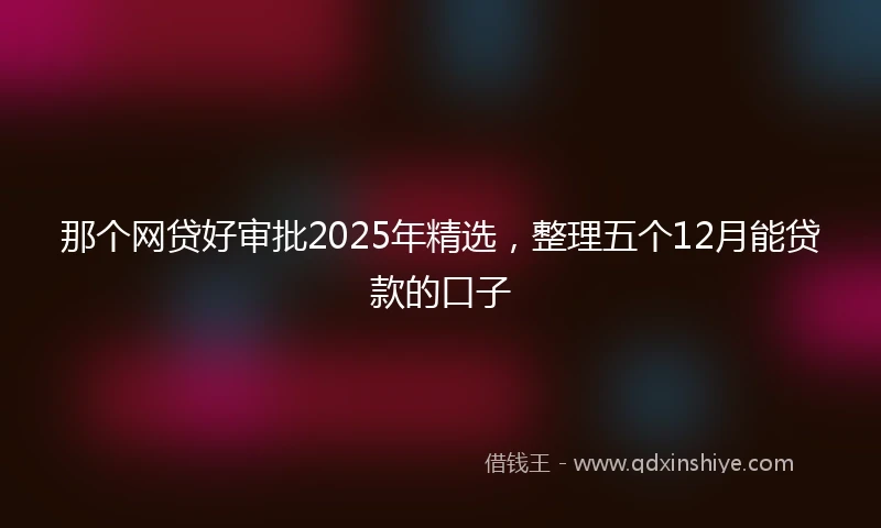 那个网贷好审批2025年精选，整理五个12月能贷款的口子