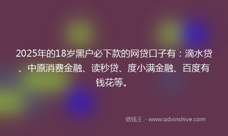 2025年的18岁黑户必下款的网贷口子有：滴水贷、中原消费金融、读秒贷、度小满金融、百度有钱花等。