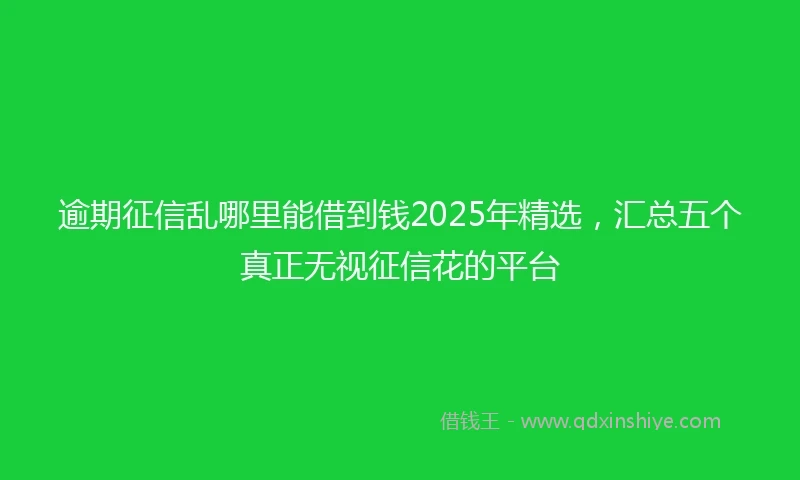 逾期征信乱哪里能借到钱2025年精选，汇总五个真正无视征信花的平台