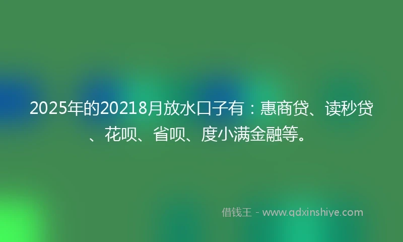 2025年的20218月放水口子有：惠商贷、读秒贷、花呗、省呗、度小满金融等。