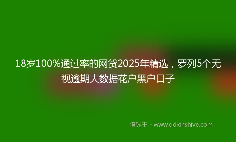 18岁100%通过率的网贷2025年精选，罗列5个无视逾期大数据花户黑户口子