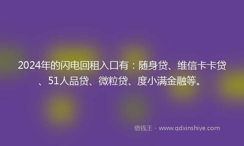2024年的闪电回租入口有：随身贷、维信卡卡贷、51人品贷、微粒贷、度小满金融等。