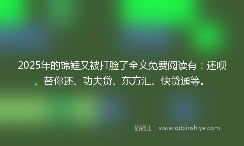2025年的锦鲤又被打脸了全文免费阅读有：还呗、替你还、功夫贷、东方汇、快贷通等。
