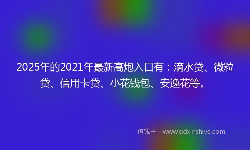 2025年的2021年最新高炮入口有：滴水贷、微粒贷、信用卡贷、小花钱包、安逸花等。