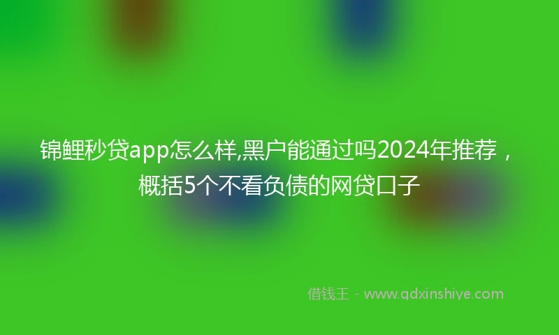 锦鲤秒贷app怎么样,黑户能通过吗2024年推荐，概括5个不看负债的网贷口子