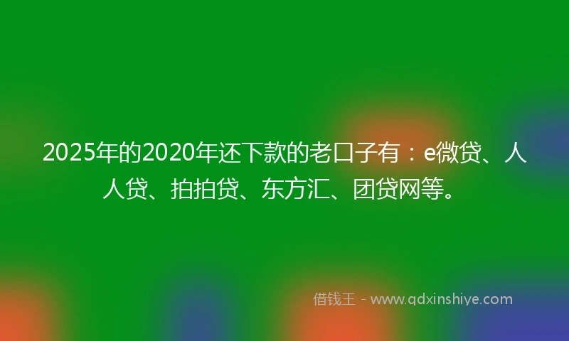 2025年的2020年还下款的老口子有：e微贷、人人贷、拍拍贷、东方汇、团贷网等。