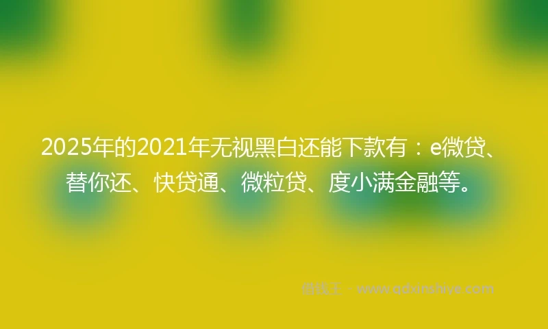 2025年的2021年无视黑白还能下款有：e微贷、替你还、快贷通、微粒贷、度小满金融等。