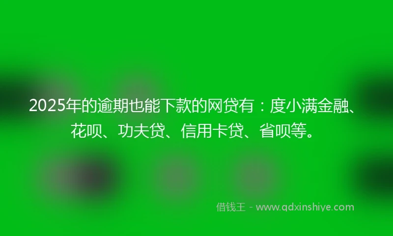 2025年的逾期也能下款的网贷有：度小满金融、花呗、功夫贷、信用卡贷、省呗等。