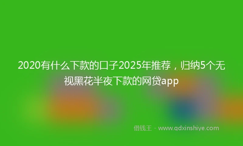 2020有什么下款的口子2025年推荐，归纳5个无视黑花半夜下款的网贷app
