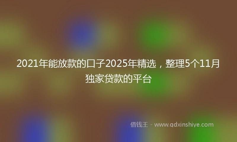 2021年能放款的口子2025年精选，整理5个11月独家贷款的平台
