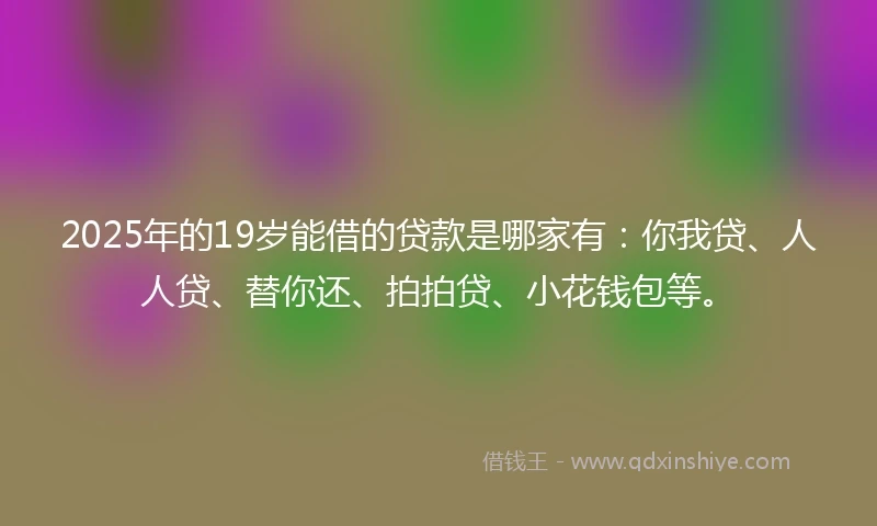 2025年的19岁能借的贷款是哪家有：你我贷、人人贷、替你还、拍拍贷、小花钱包等。