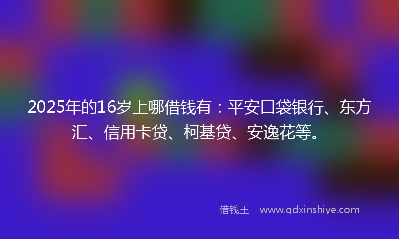 2025年的16岁上哪借钱有：平安口袋银行、东方汇、信用卡贷、柯基贷、安逸花等。