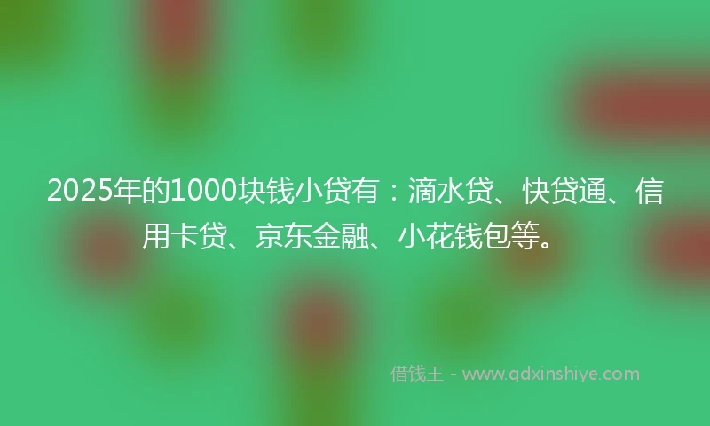 2025年的1000块钱小贷有：滴水贷、快贷通、信用卡贷、京东金融、小花钱包等。