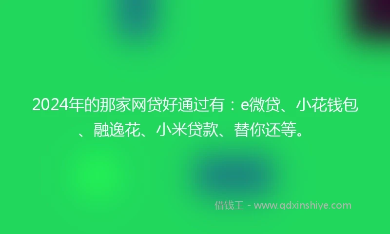 2024年的那家网贷好通过有：e微贷、小花钱包、融逸花、小米贷款、替你还等。