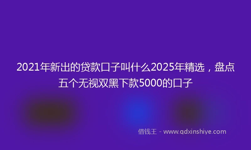 2021年新出的贷款口子叫什么2025年精选，盘点五个无视双黑下款5000的口子