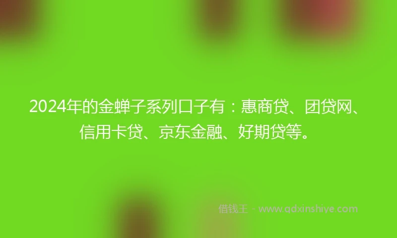 2024年的金蝉子系列口子有：惠商贷、团贷网、信用卡贷、京东金融、好期贷等。