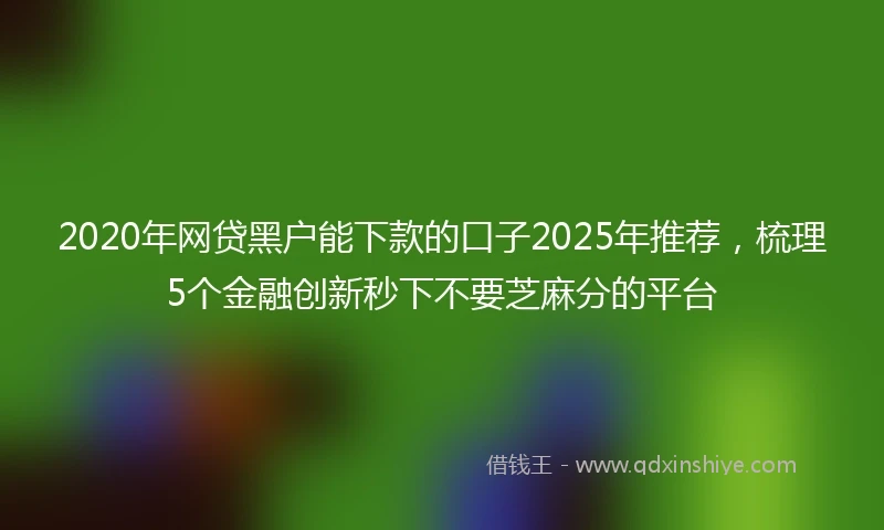 2020年网贷黑户能下款的口子2025年推荐，梳理5个金融创新秒下不要芝麻分的平台