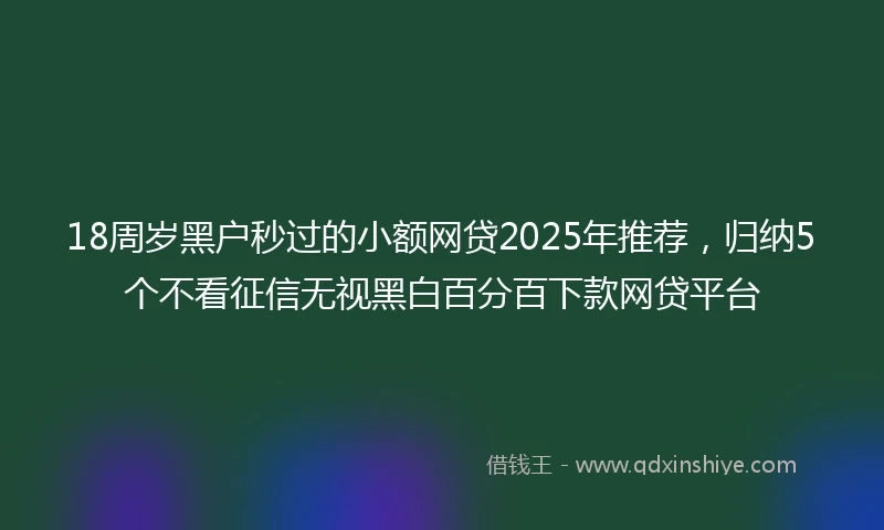 18周岁黑户秒过的小额网贷2025年推荐，归纳5个不看征信无视黑白百分百下款网贷平台