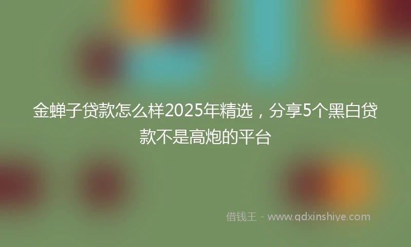 金蝉子贷款怎么样2025年精选，分享5个黑白贷款不是高炮的平台