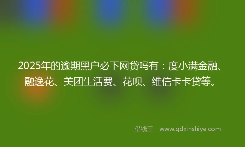 2025年的逾期黑户必下网贷吗有：度小满金融、融逸花、美团生活费、花呗、维信卡卡贷等。
